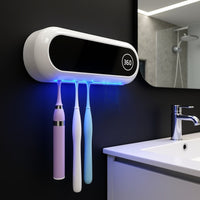 wall-mounted toothbrush holder